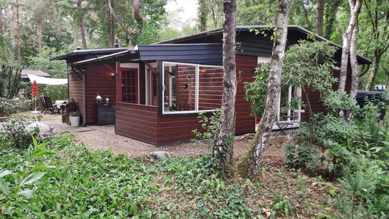 Bosbungalow De Eekhoorn Nunspeet Exterior foto